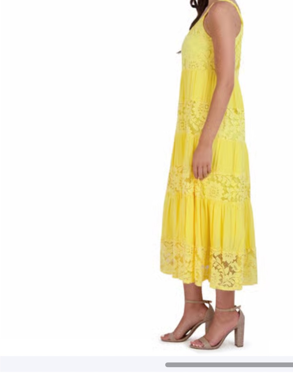 Robbie Bee Sleeveless Gauze Floral Lace Midi Dress
